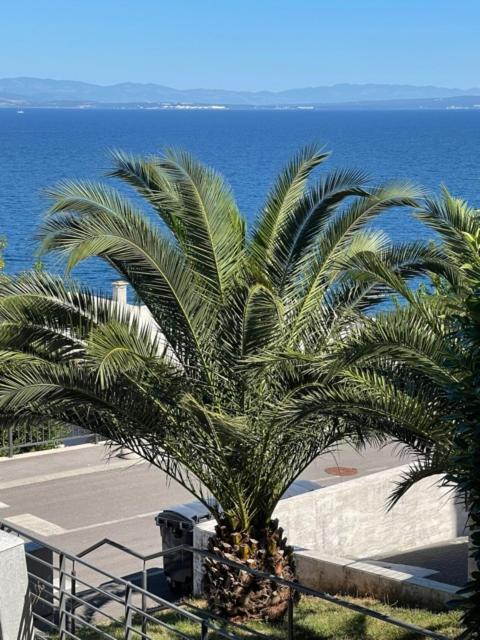 Apartment Adriana Opatija